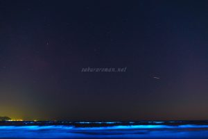 由比ヶ浜の青い海夜光虫3