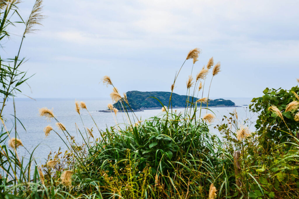 小蟇島(こひきしま)と大蟇島(おおひきしま)