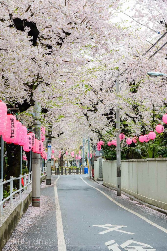 染井稲荷神社前
