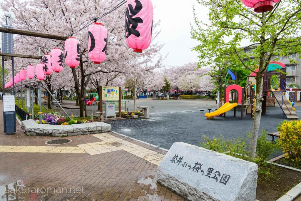染井よしの桜の里公園