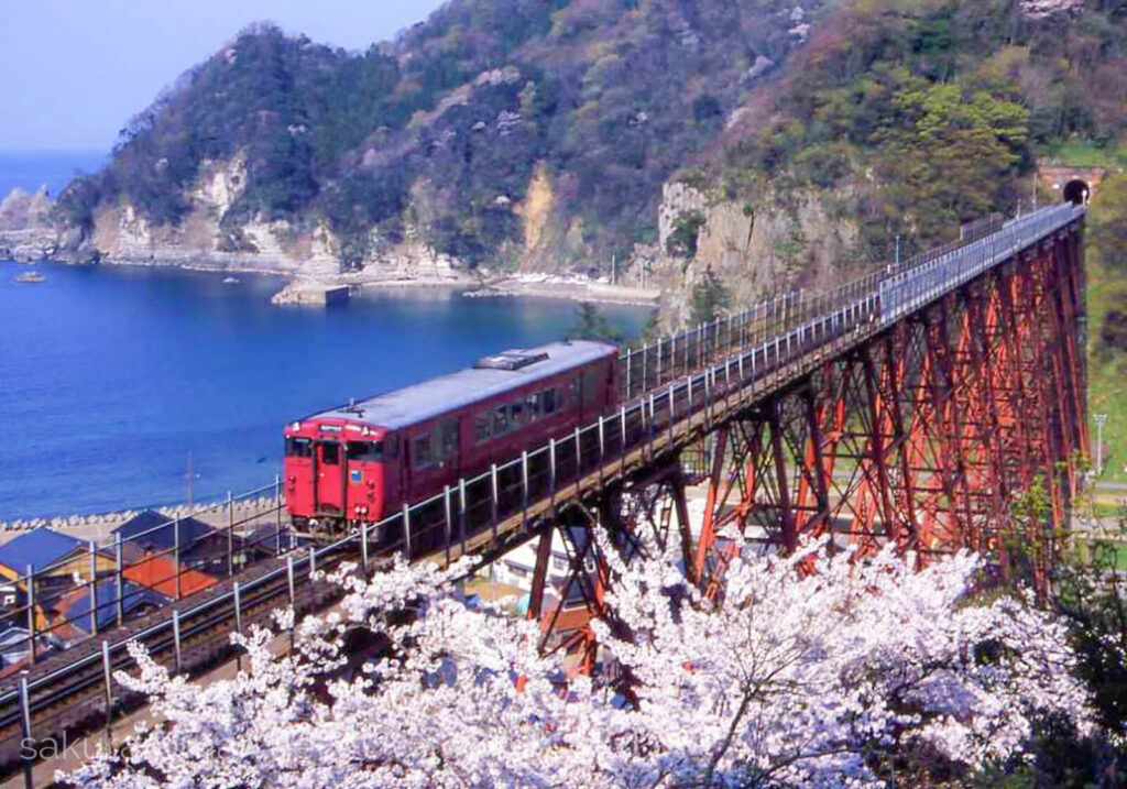 桜咲く春の余部鉄橋と赤い列車がコトコト走る