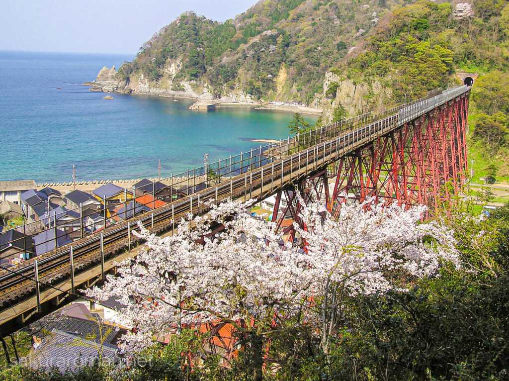 桜咲く春の余部鉄橋