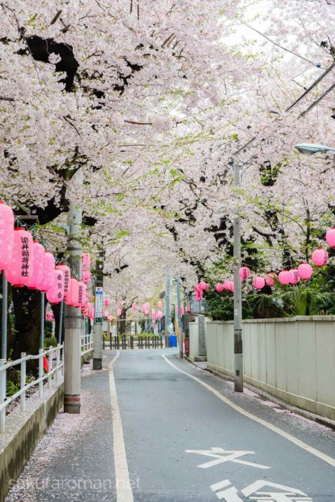 染井稲荷神社前