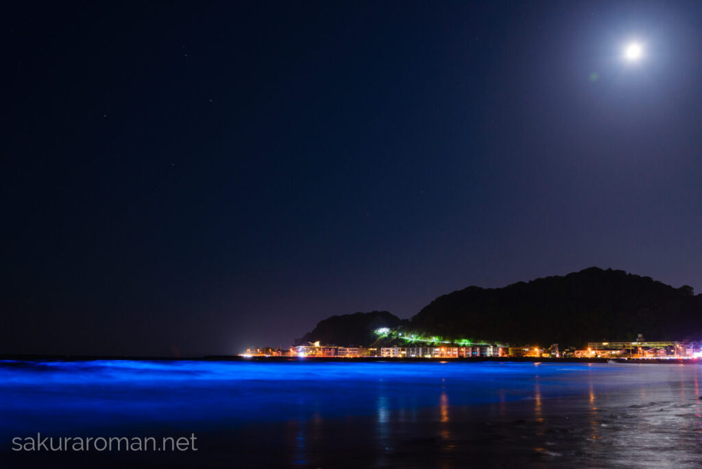 由比ヶ浜の青い海夜光虫1