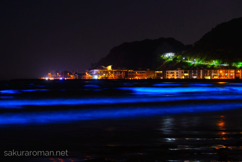 由比ヶ浜の青い海夜光虫2