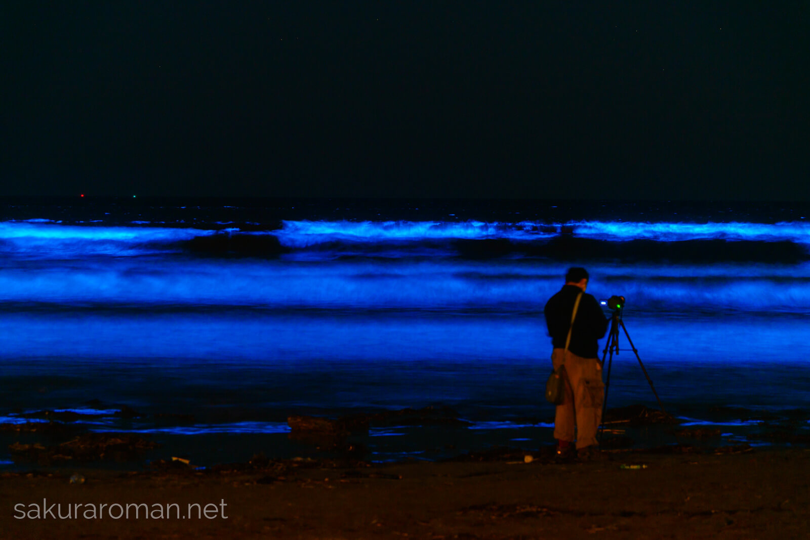 由比ヶ浜の青い海夜光虫を撮影する人