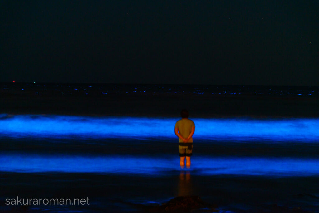 由比ヶ浜の青い海夜光虫6