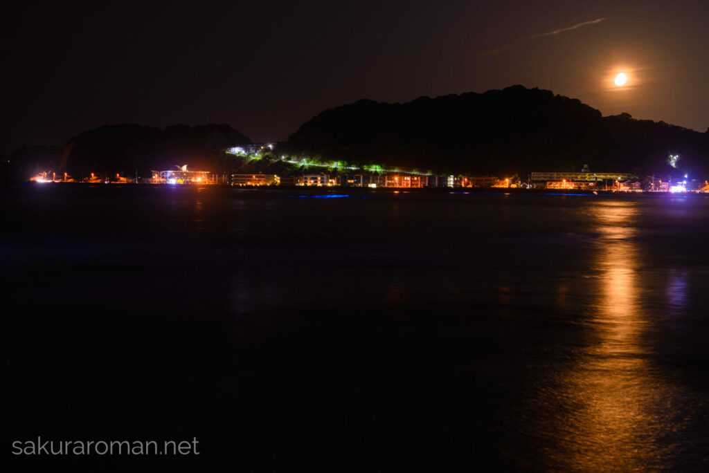 由比ヶ浜の青い海夜光虫7
