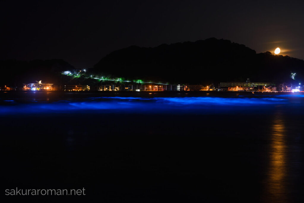 由比ヶ浜の青い海 夜光虫と月の入り