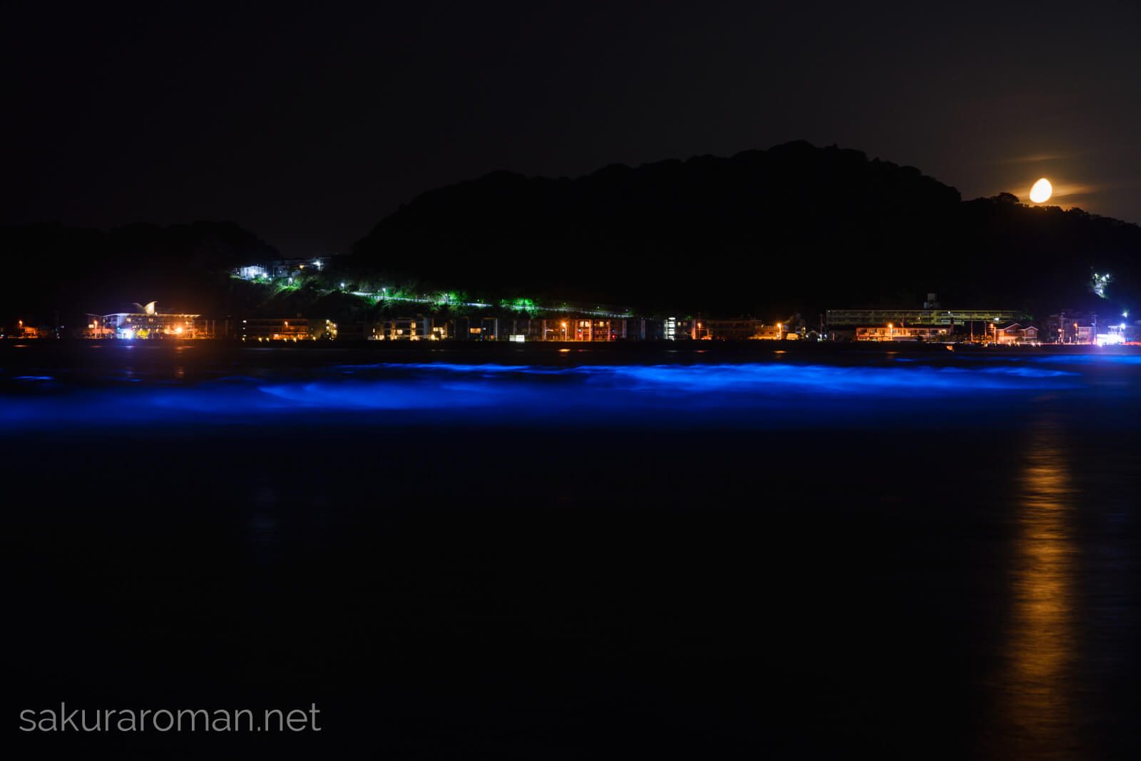 夜光虫、由比ヶ浜海岸と青く輝く海と月の入り