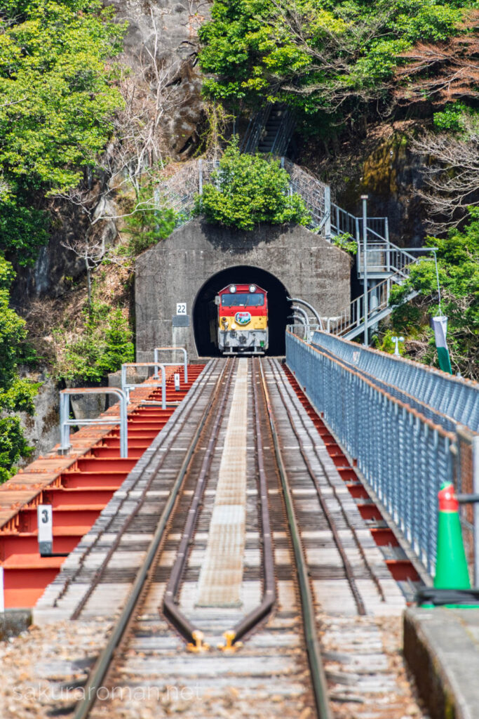 トンネルから顔を出す大井川鐡道井川線