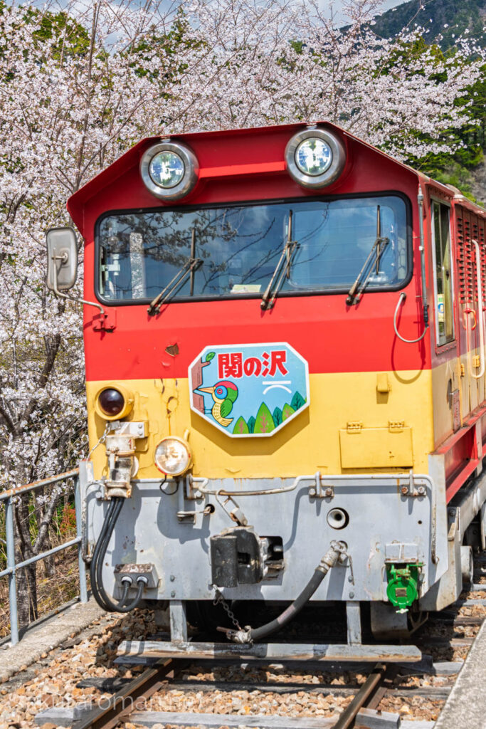 ホームに滑りこんでくる大井川鐡道