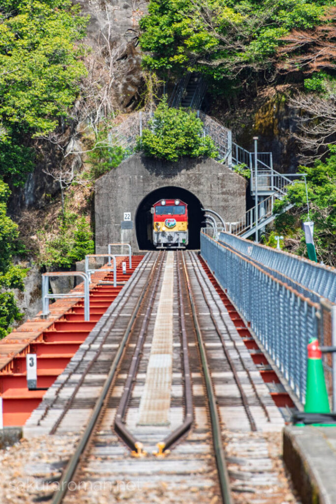 トンネルから顔を出す大井川鐡道井川線