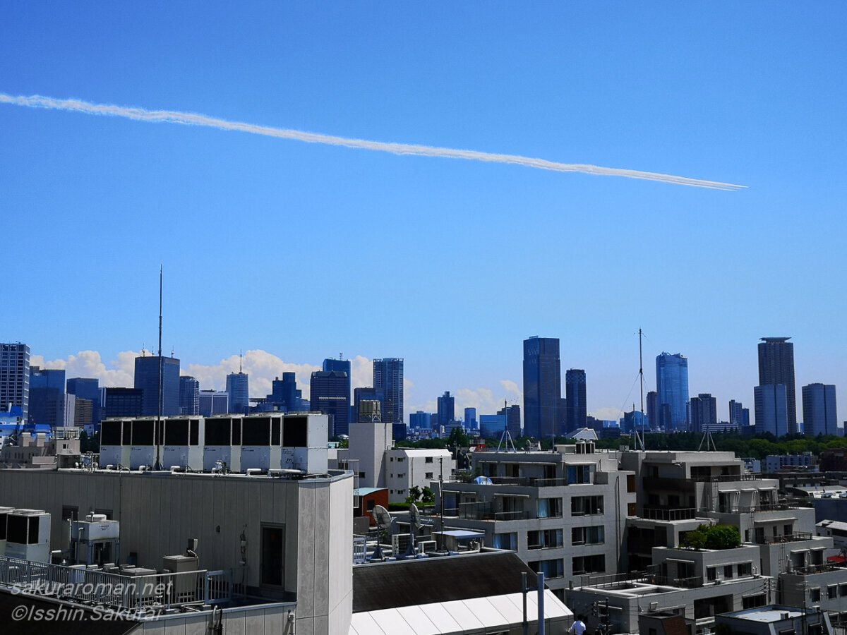 2020年5月29日、新型コロナ禍の東京の街並みの上を飛ぶブルーインパルス