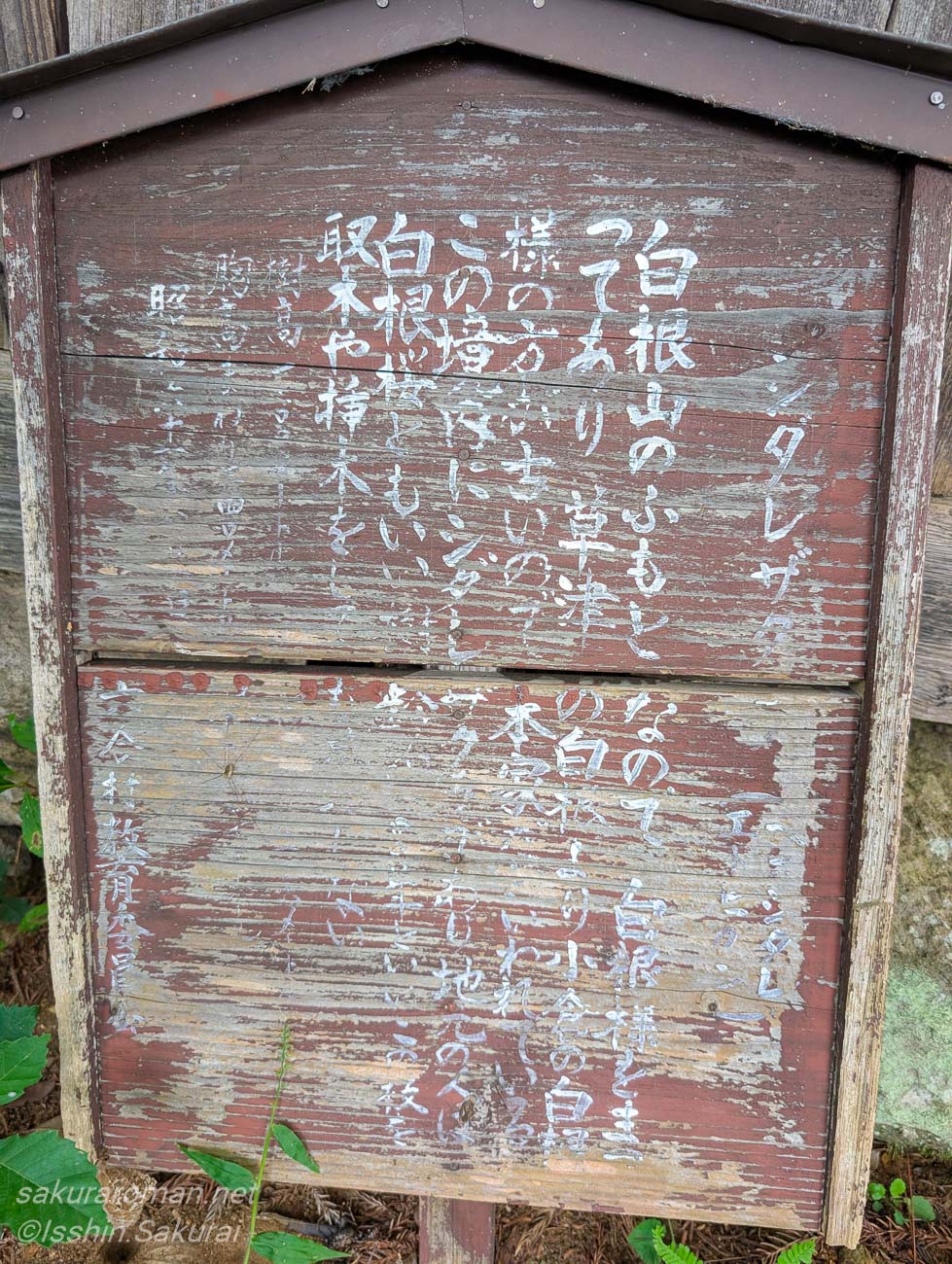小倉のしだれ桜のそばに残る古い案内板