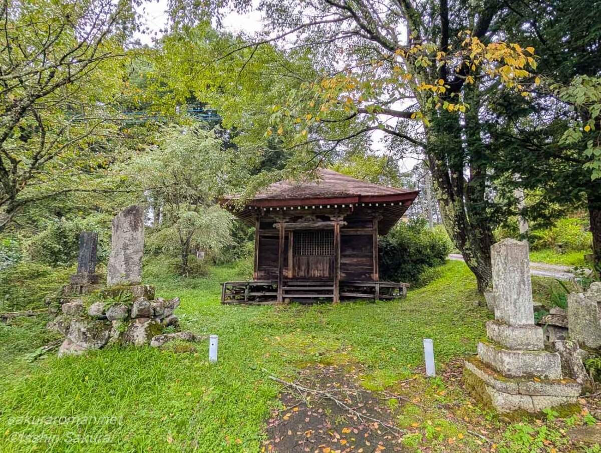 白根神社境内のお堂と左奥に立つ小倉のしだれ桜