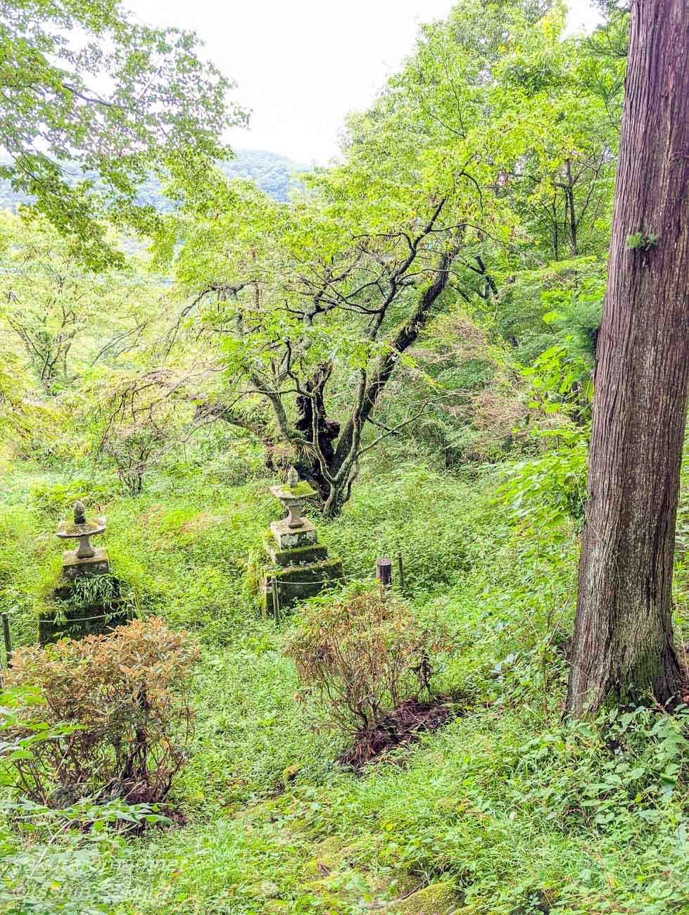 白根神社境内から見下ろした小倉のしだれ桜