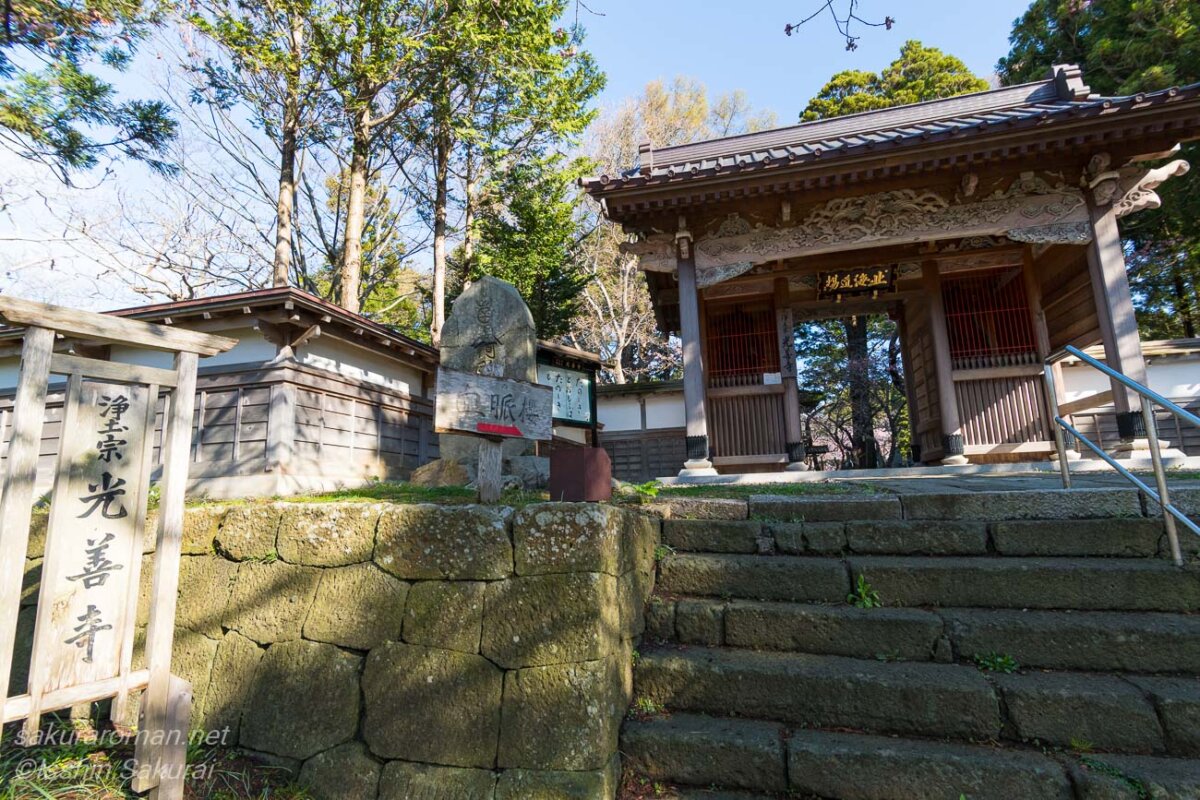 北海道松前町の光善寺山門。境内には血脈桜がある