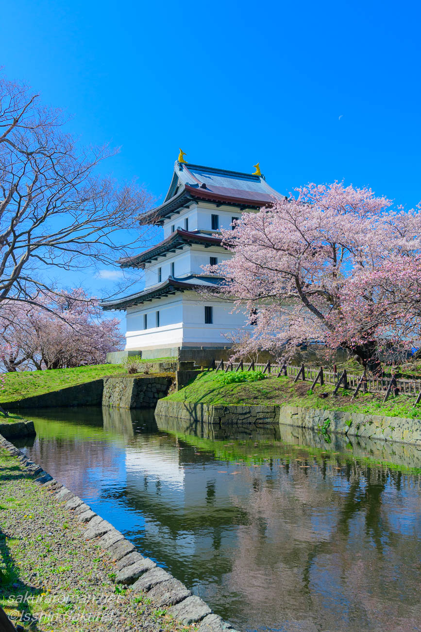 北海道松前町の松前城。堀に映る城と桜の風景