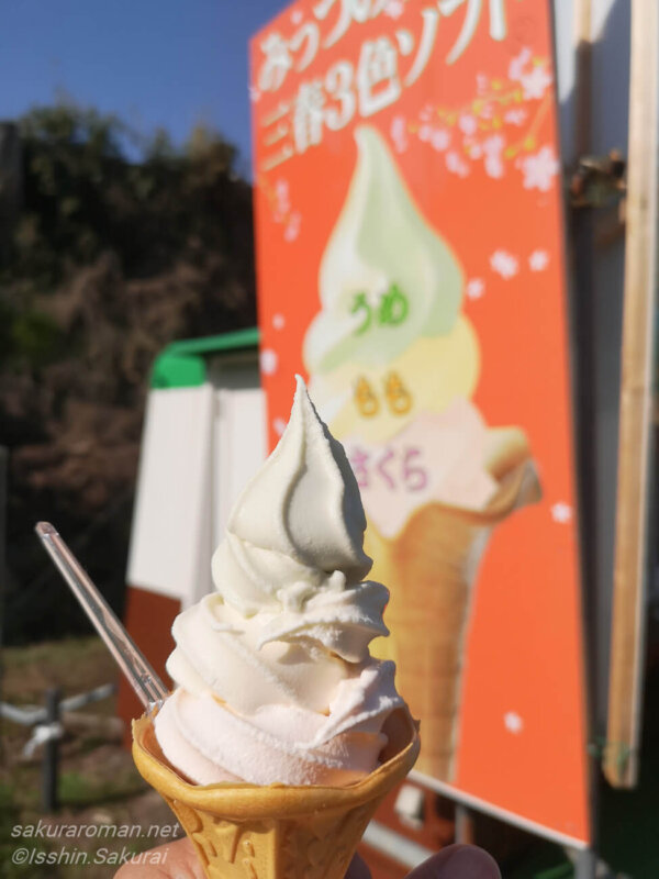 みっつの春　三春３色ソフトクリーム（梅・桃・桜）