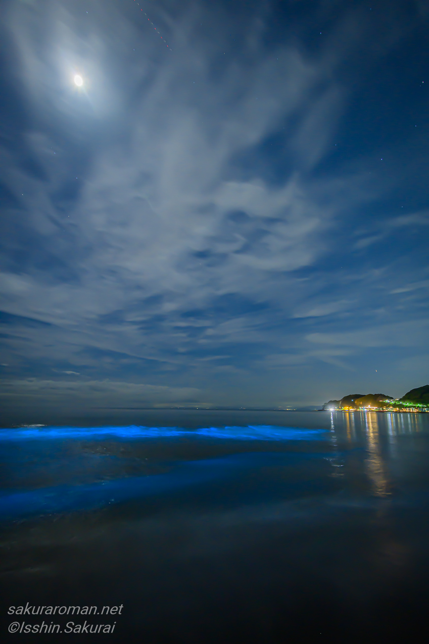 月明かりと鎌倉の海岸の灯りを背景に、由比ヶ浜で青く光る夜光虫の波
