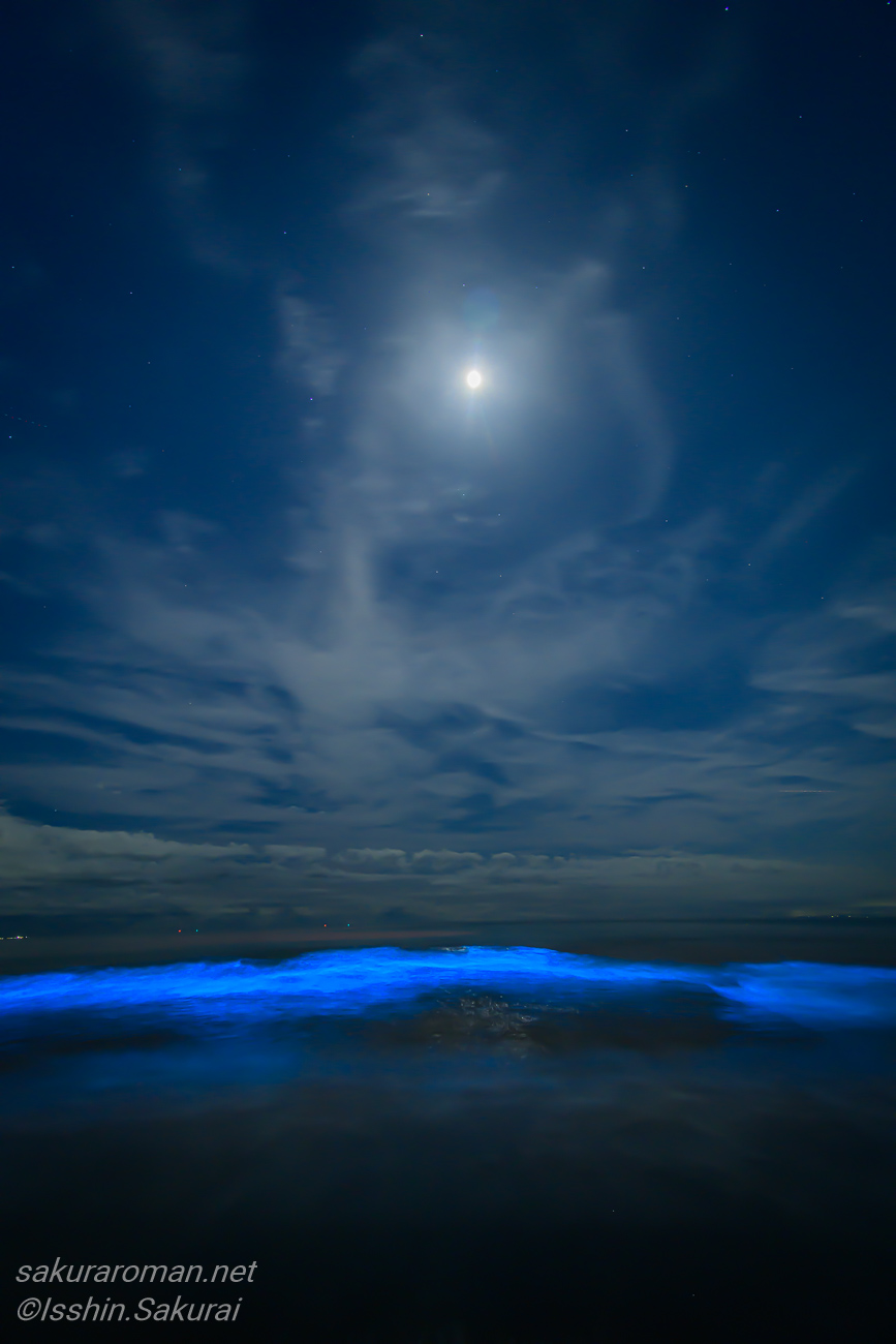 月明かりと雲が広がる夜空の下、鎌倉・由比ヶ浜で青く光る夜光虫の波