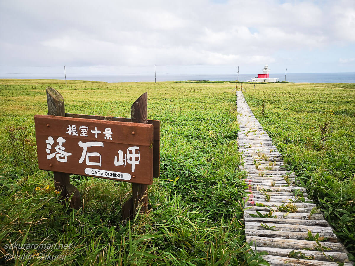 落石岬の木道を進むと湿原の先に赤白の灯台が見える風景