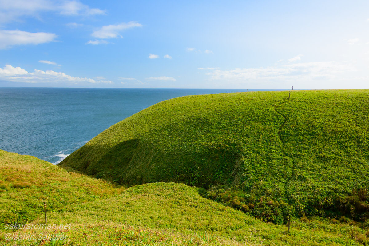 落石岬の断崖と広がる草原、太平洋を見渡す風景
