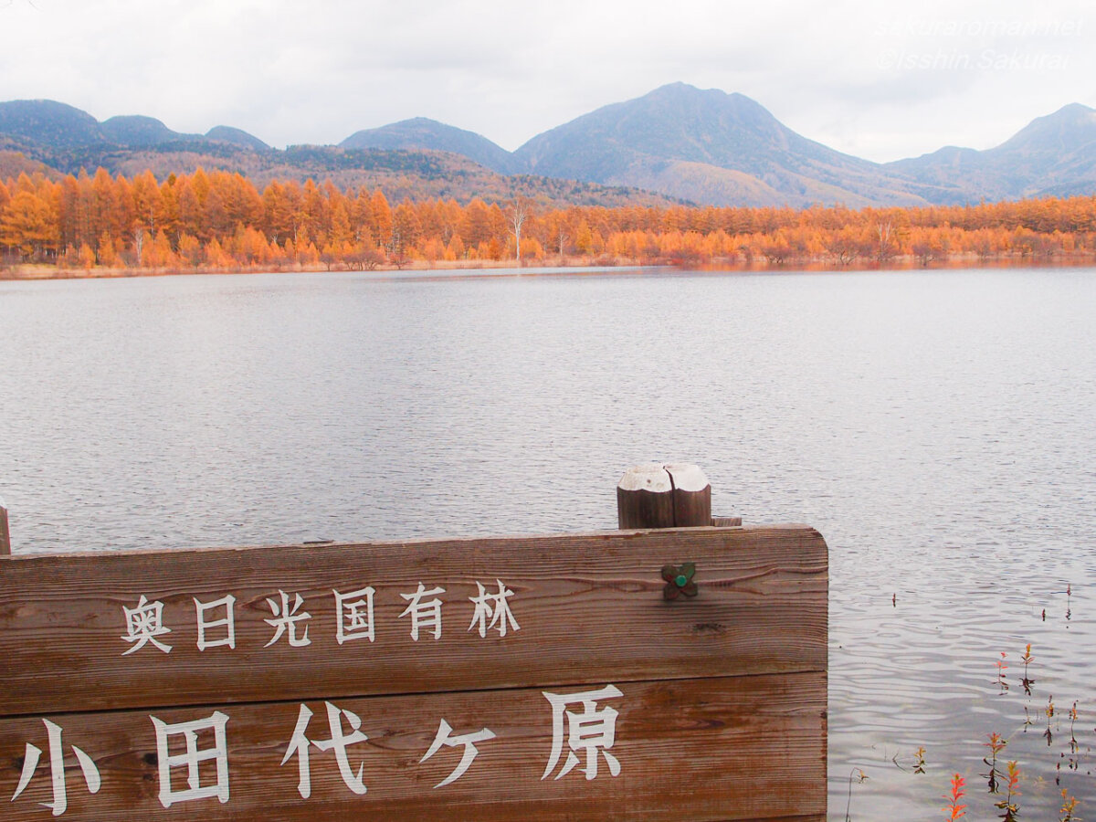 小田代ヶ原の看板越しに広がる幻の小田代湖と秋の山並み