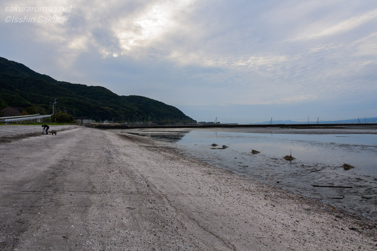 御輿来海岸で作業をする地元の海苔業の方