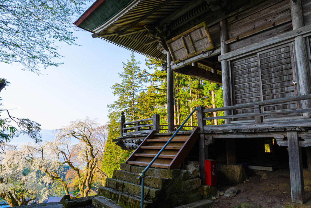 旧山千寺観音堂と眼下に咲く信玄駒つなぎの桜