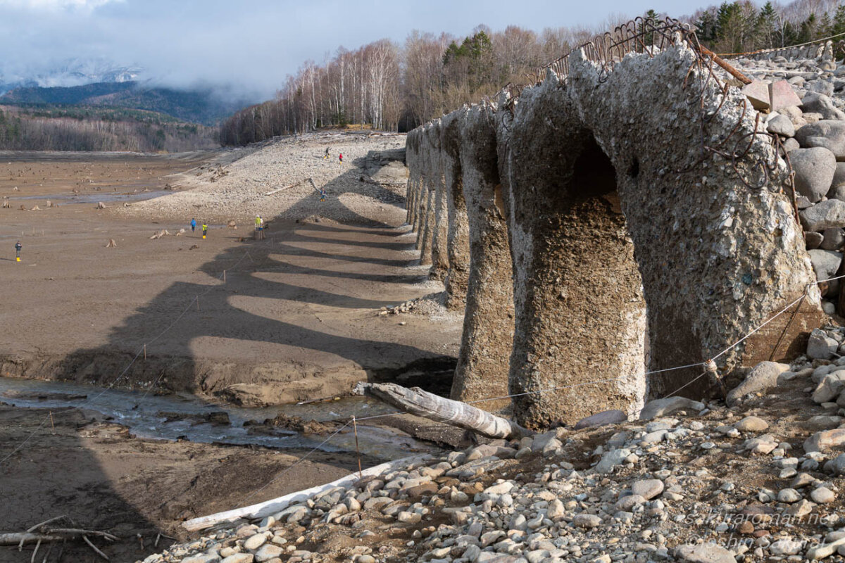 タウシュベツ川橋梁のアーチが糠平湖の湖底に影を落とす様子