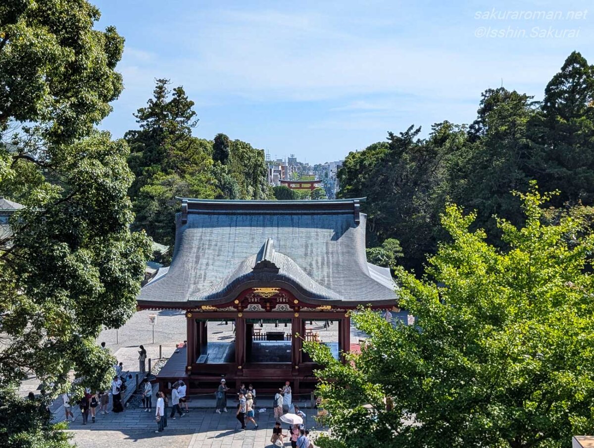 鶴岡八幡宮の大石段から舞殿越しに望む現在のイチョウと若宮大路