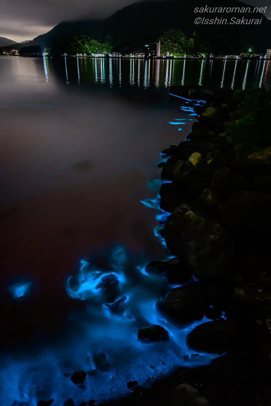 静岡県沼津市の岩場で青く光る夜光虫と駿河湾の夜景